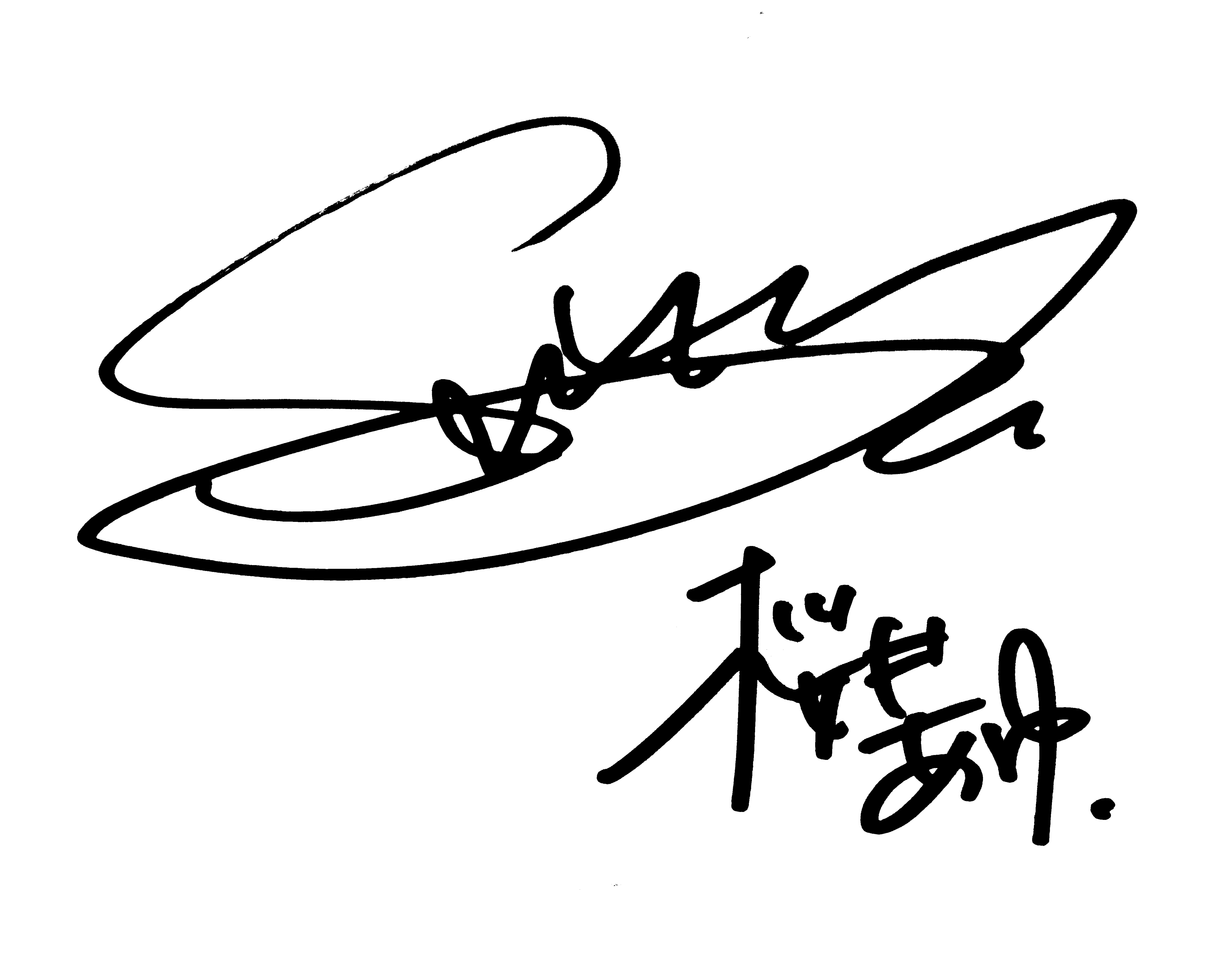 ceo signature